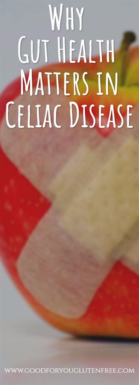 why gut health matters in celiac disease celiac disease celiac