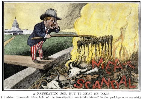 political cartoon  teddy roosevelt   chicago meatpacking