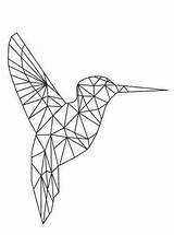 Geometrische Geometric Vormen Kolibri Ausmalbilder Animals Tiere Formen Geometrizados Srisovki sketch template
