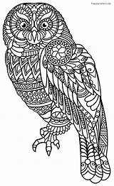 Mandala Coloring Animals Owl Animal Pages Age sketch template