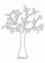 Tree Coloring Pages Cherry Banyan Trees Colouring Baobab Spring Getcolorings Printable Getdrawings Banya Drawing Color sketch template