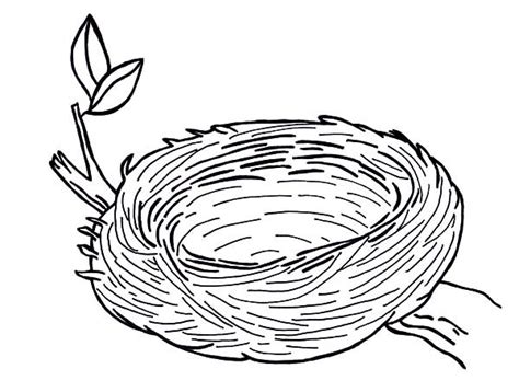 empty bird nest coloring page