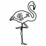Flamenco Flamingos Flamencos Pintar Educación Menta Recursos Coloringp Imagui Clipartmag sketch template