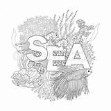 Coral Reef Corals Fish Sea Drawing Word Coloring Vector Adult Outline Older Space Text Illustration Children Book Stock Colourbox Supplier sketch template