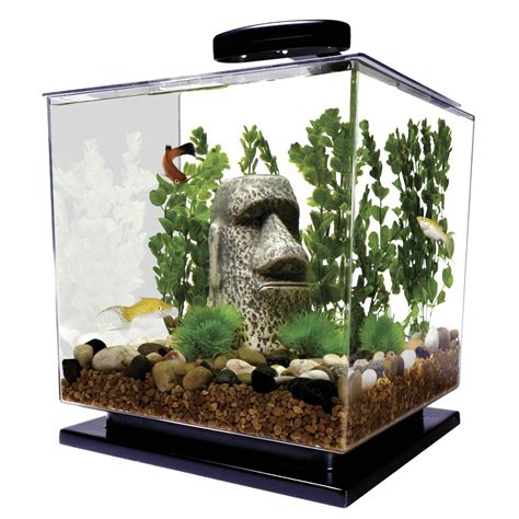 mini aquariums pros  cons  small fish tanks