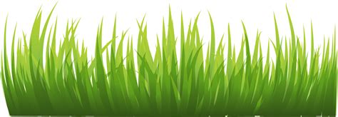 Animation Icon Grass Png Image Green Grass Png Picture Png Download