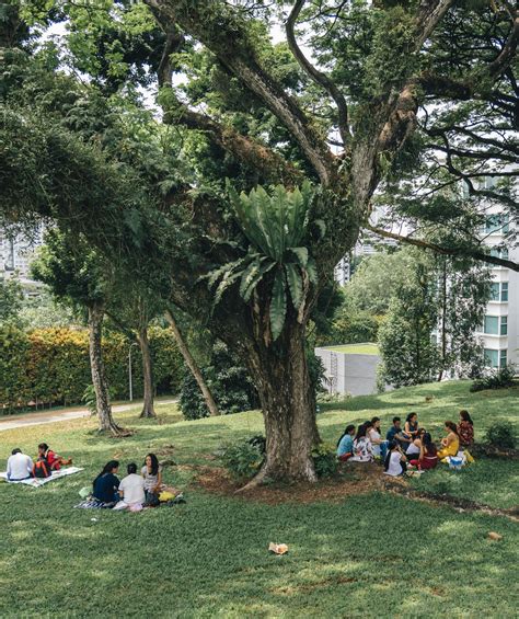Singapore Domestic Helpers’ Day Off In The Park Rankles With Some