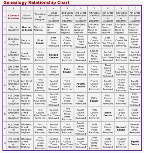 image result  cousin relationship chart family tree genealogy family genealogy genealogy