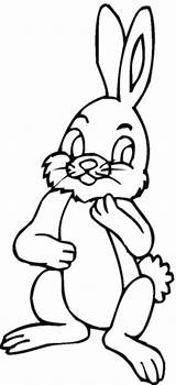 Hare Lepre Hares Rabbit Conejo Colorat Liebre Fise Iepurasi Carinissima Designlooter าย กระ ต Planse sketch template