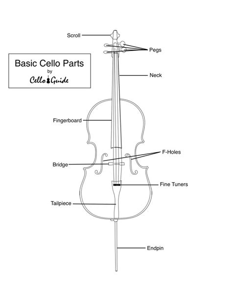 parts   cello celloguide