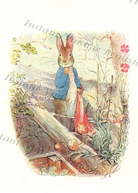 benjamin bunny high resolution instant  antique etsy