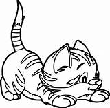 Coloring Cat Near Wecoloringpage sketch template
