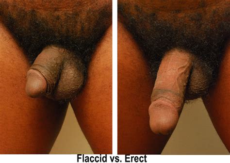 small erect dick contest cumception