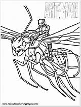 Ant Antman Mewarnai Wasp Sketsa Paseo Ejecutar Robot Avenger Ausmalen Mewarnaigambar Transformer Galery Pintar Dibujosonline Categorias sketch template