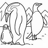 Penguin Pages Coloring Family Colouring Choose Board Printable sketch template
