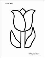 Tulip Coloring Trace Spring Cut Color Pages Flower Templates Colouring Crafts Abcteach Student sketch template