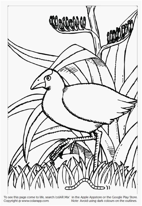 quiver app coloring pages coloring pages
