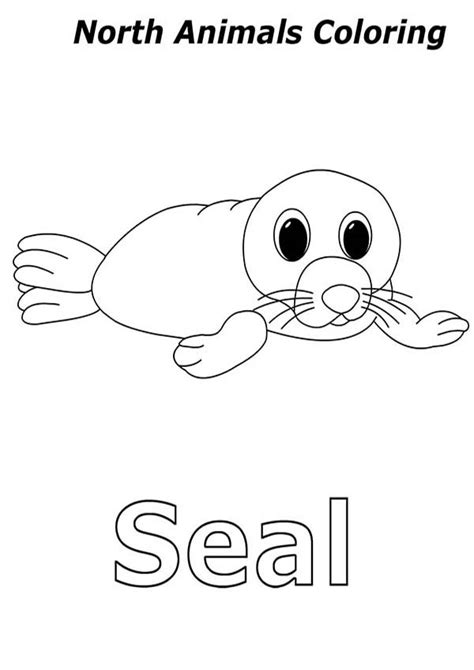 baby seal  arctic animals coloring page kids play color