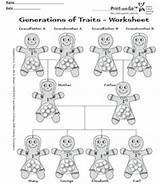 Genetics Coloring Activity Heredity Dna Teaching Science Classroom Template Choose Board sketch template
