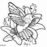 Hummingbird Coloirng Bird sketch template