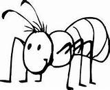 Ant Ameise Ameisen Preschool sketch template