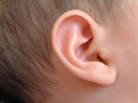 guidelines suggest ear tubes arent    cases cbs news