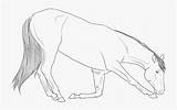 Horse Bowing Lineart Clipartkey sketch template