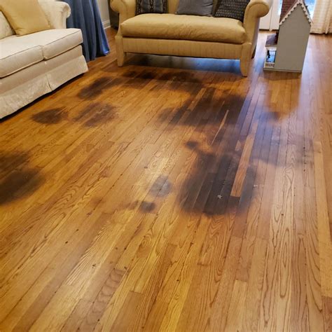 refinishing hardwood floors  pet stains options  fixing