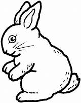 Rabbit Outline Coloring Pages Bunny Drawing Clipart Printable Print Kids Colouring Clip Rabbits sketch template