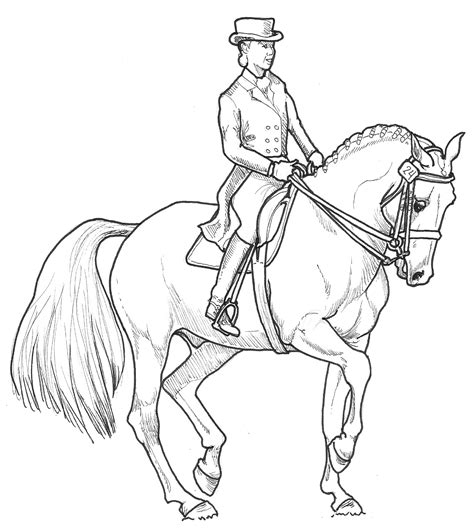 dressage horse coloring pages sketch coloring page