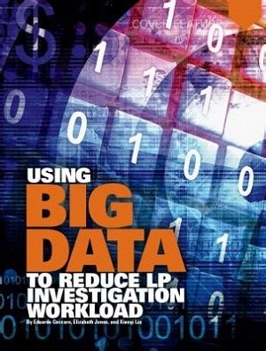 fraud detection techniques  big data