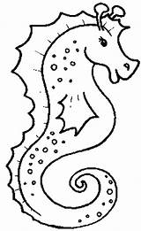 Coloring Sea Animals Pages Seahorse Animal Realistic Drawing Water Sheets Creatures Imaginary Life Printable Ocean Print Under Kids Colouring Color sketch template