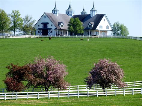 manchester farm   bluegrass driving  route kentucky horse farms horse farms