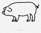 Schwein Pinclipart sketch template