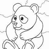 Bear Surfnetkids Coloring Previous Animals sketch template