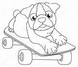 Cachorro Bulldog Kleurplaten Schattige Bouledogue Dieren Skateboard Patin Coloration Honden Cucciolo Depositphotos Bulldogs Fofo Chiot Inglese sketch template