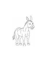 Donkey Coloring Old Honking sketch template