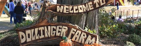 dollinger family farm dollinger pumpkin farm  home   farm pumpkin farm farm