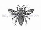 Zentangle Honeybee sketch template