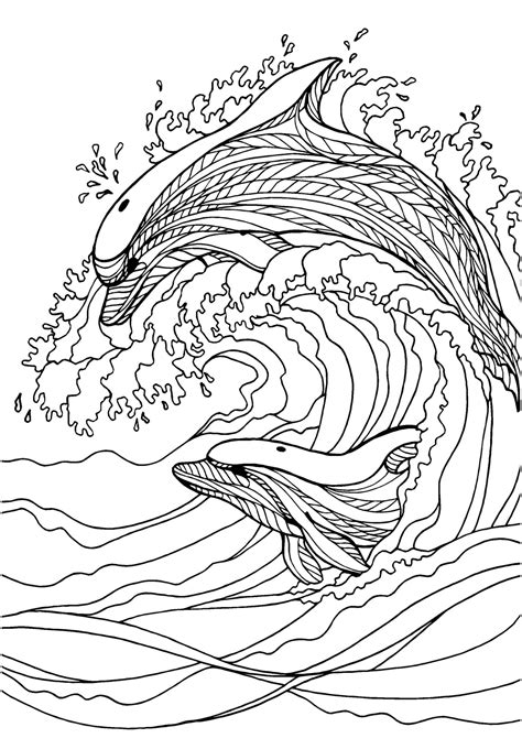 adult coloring pages dolphin  getdrawings