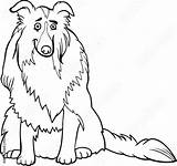 Collie Lassie Colley Colorir Berner Sennen Chien Caja Cachorro Hond sketch template