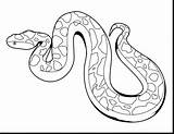 Snake Garter Drawing Getdrawings sketch template