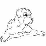 Boxer Coloring Pages Dog Spread Hand His sketch template