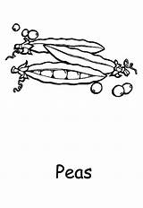 Vegetables Peas Coloring sketch template