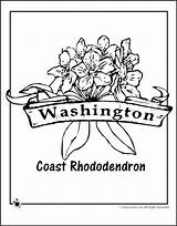 State Washington Coloring Flower Pages Flowers Traceable Color Printable Print Getcolorings Flag Rhododendron Popular Tree Getdrawings Coast Printables Activities sketch template
