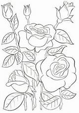 Para Flores Dibujos Bordar Imprimir Plantillas Patrones Tela Visitar Bordado sketch template