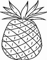 Pineapple Ananas Colorare Disegni Pineapples Aba sketch template
