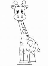Giraffe Girafa sketch template