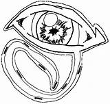 Eye Illuminati Seeing Drawing Getdrawings sketch template