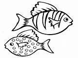 Coloring Pages Fish Tropical Fishes sketch template